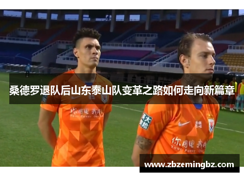 桑德罗退队后山东泰山队变革之路如何走向新篇章